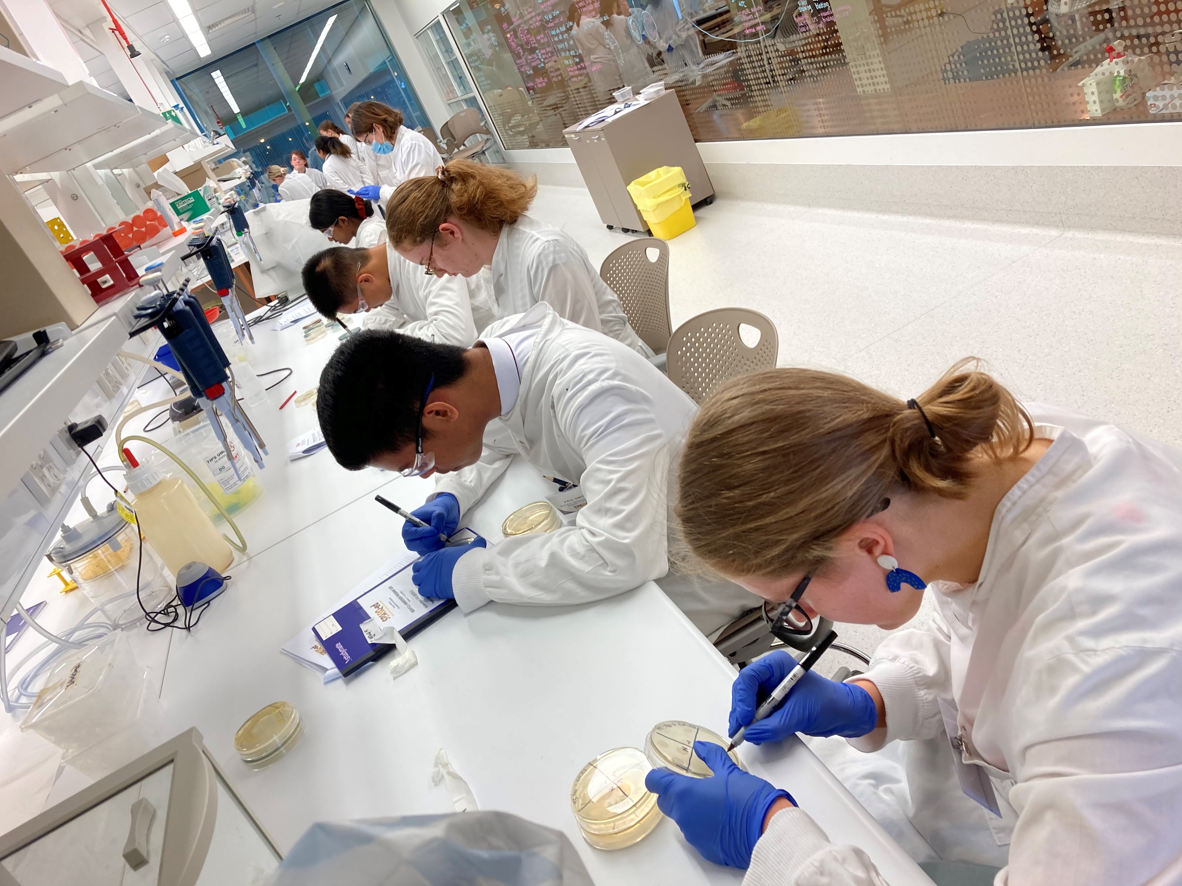 High school students in a research lab