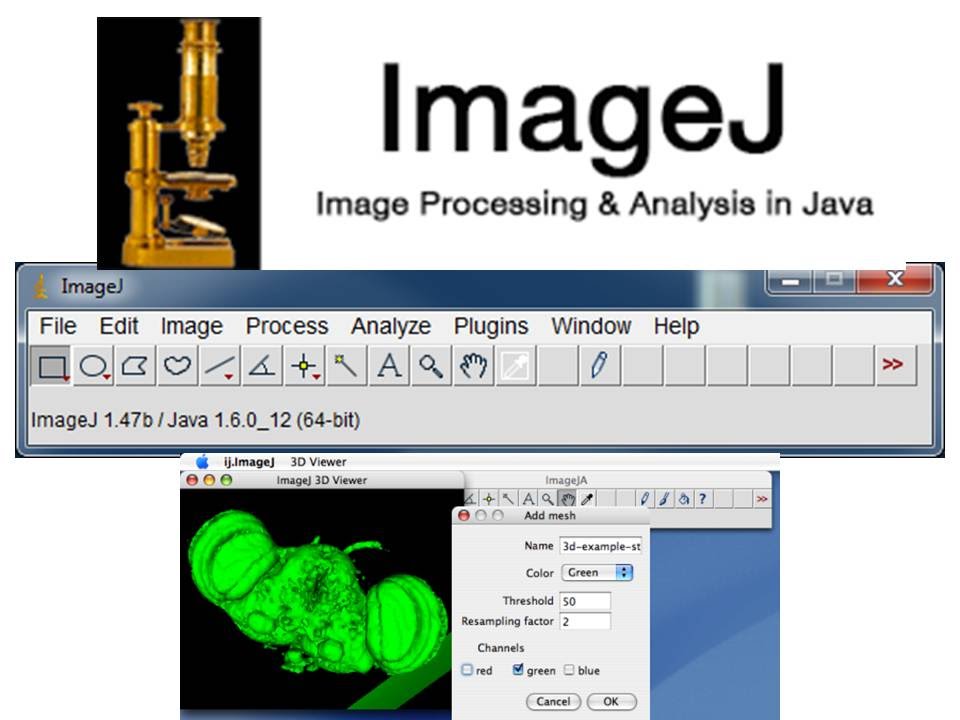 imagej software free download latest version